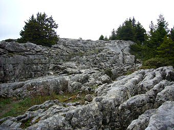 Lapiaz au Sud du Habert de Saint Vincent 