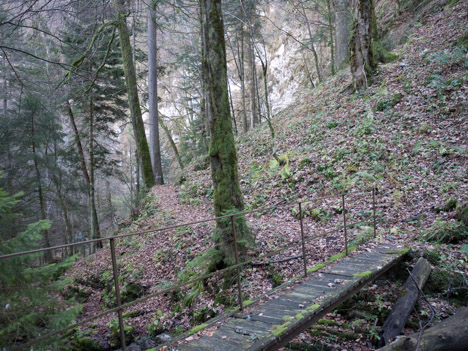 Passerelle su sentier des sangles de Malamille