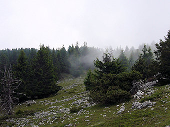 Plateau du Mont Outheran