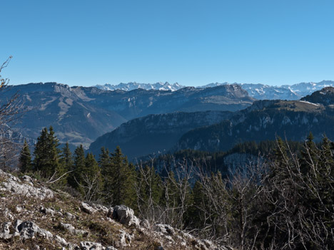 Sous la Petite Vache