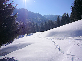 Col de la Charmette