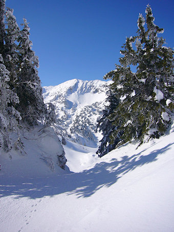 Col de la Petite Vache