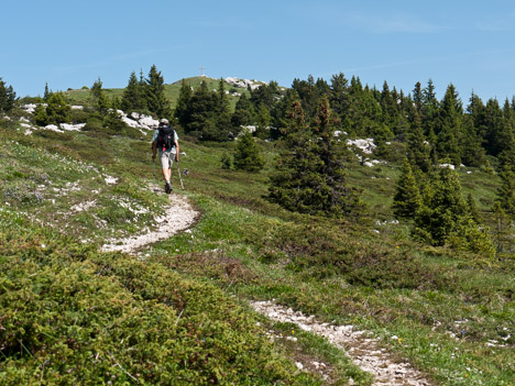 Plateau sommital du Pinet