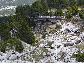 Le vallon du Pinet