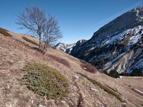 Le Col des Ayes