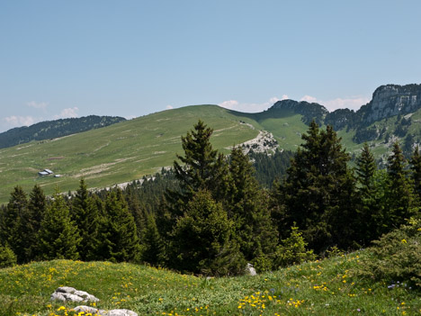 Habert de Saint-Vincent, Croix de l'Alpe