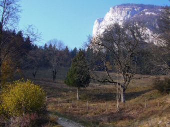 La Roche Veyrand