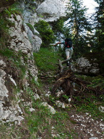 Sentier de la doline du Grand Glacier du Pinet