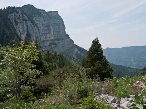 Falaise Nord du Sommet du Pinet