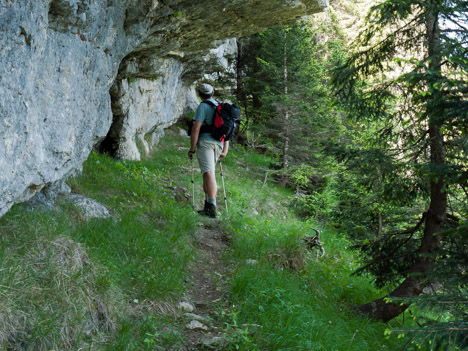 Sentier de la doline du Grand Glacier du Pinet