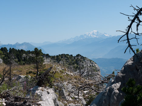 Sur les Rochers de la Rousse