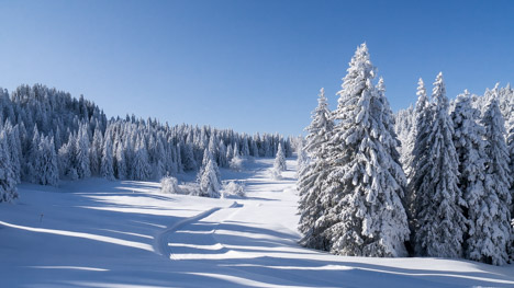 Prairie d'Arpison, la Ruchère