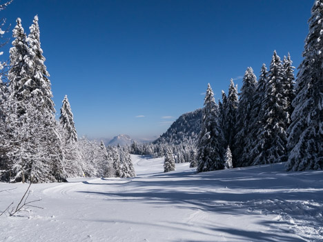 Prairie d'Arpison, la Ruchère