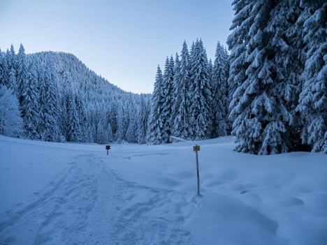 Le Pré de la Morte, la Ruchère