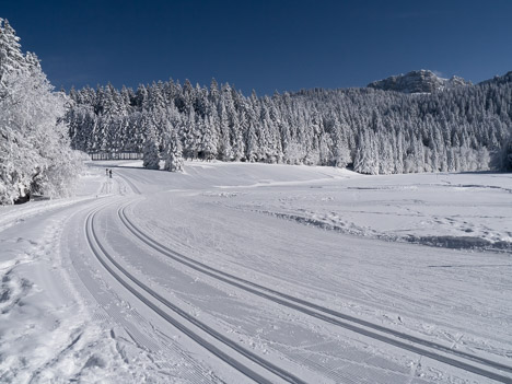 La clairière des Riondette, la Ruchère