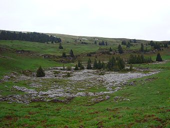 Lapiaz des ruines des haberts de Barraux