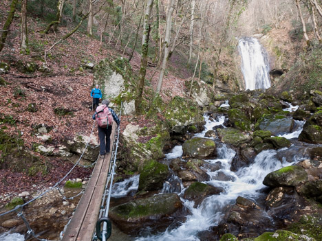 Pont de singe sur le Ruisseau d'Alloix