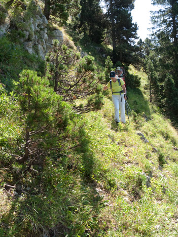 Sente sous les falaise Ouest du Granier