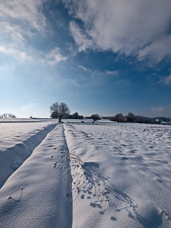 Dolomieu, neige sur le Couvérier