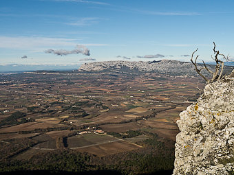 Falaises du Mont Aurélien