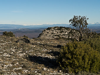 Crête du Mont Aurélien