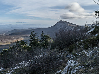 Vallon de Betton, dit des Cèdres