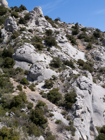 Environnement du parcours de Bramefan