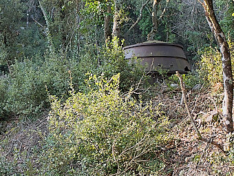 Cuve à charbon de bois du Pié de Masse, Concors