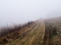 Brouillard sur le chemin de Courson-les-Carrières