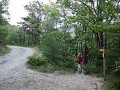 Forêt de Saou, chemin des muletiers