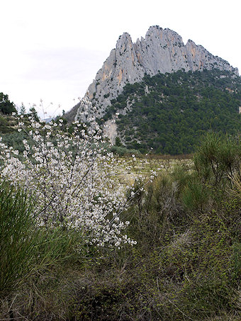 rocher de Saint-Julien