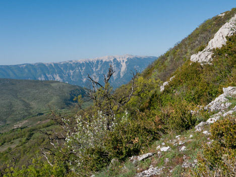 Le Mont Ventoux à l'horizon