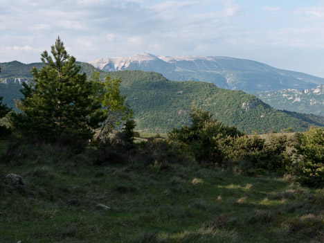 La Nible et le Mont-Ventoux