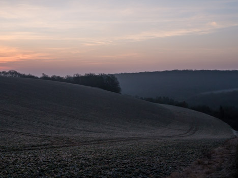 Les Petites Vignes, Druyes-les-Belles-Fontaines