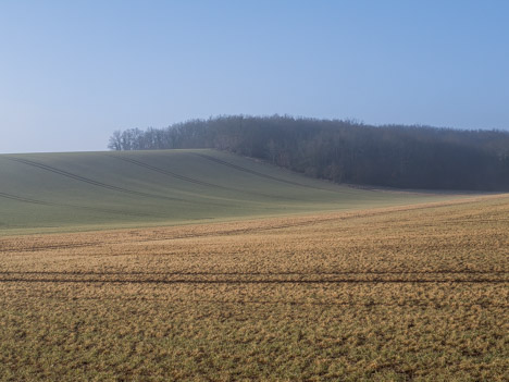 Les Grands Champs, Druyes-les-Belles-Fontaines