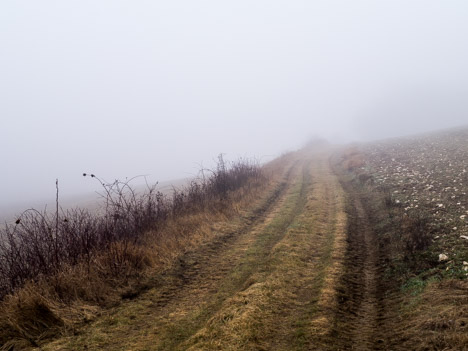 Brouillard sur le chemin de Courson-les-Carrières