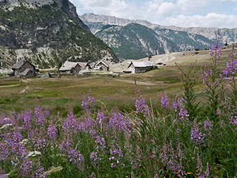 Hameau de Lachau