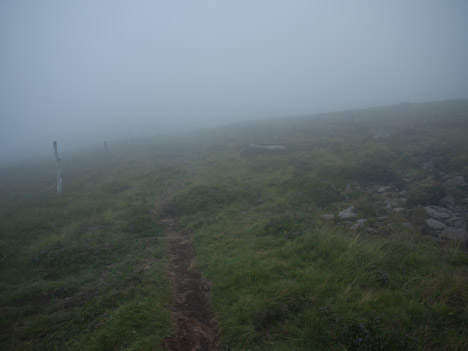 Brouillard sur Plomb du Cantal