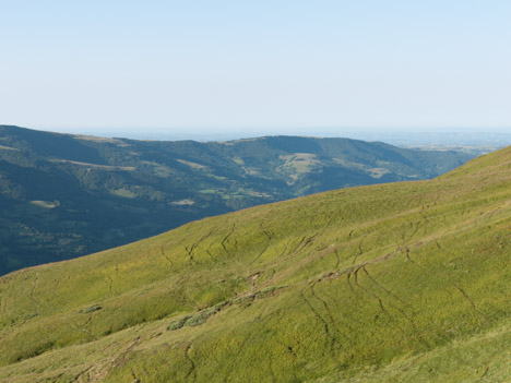 Sentes à vaches