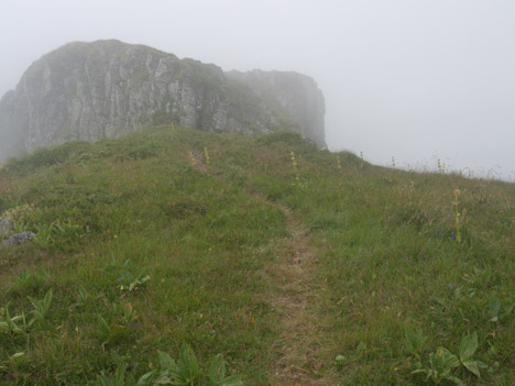 Crête du Puy du Rocher