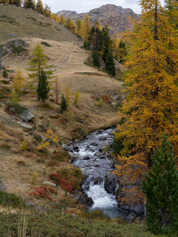 La Rivière de la Clarée