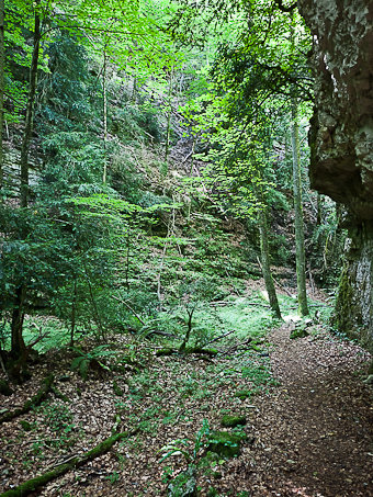 La Grande Combe, rivière de la Vèbre