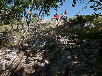 Pas des Auberts, Forêt de Saou