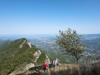 Le rocher Blanc, Forêt de Saou