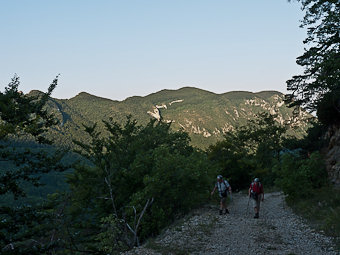 Route forestière de la Forêt de Saou