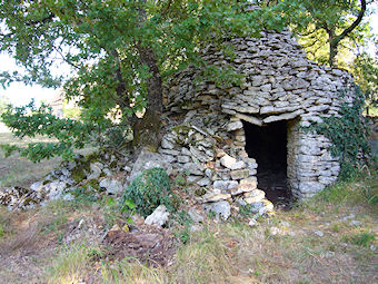 Cazelle au bord de la route