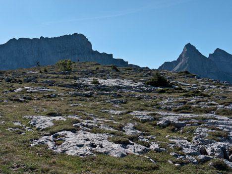 Sur les pentes de la Roche de Tréminis