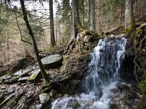 Vestiges du Moulin de Saint-Nizier