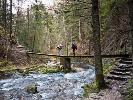 Passerelle du Bruyant