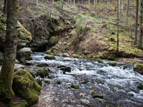 Source du Bruyant